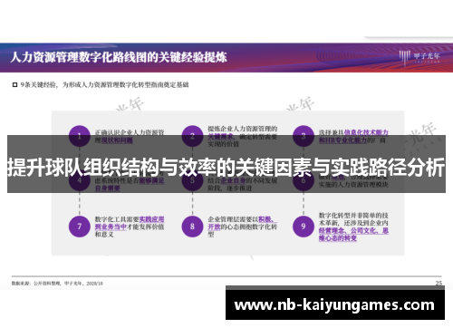 提升球队组织结构与效率的关键因素与实践路径分析