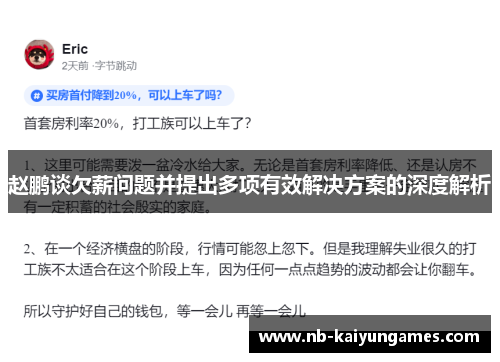 赵鹏谈欠薪问题并提出多项有效解决方案的深度解析