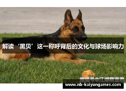 解读‘黑贝’这一称呼背后的文化与球场影响力